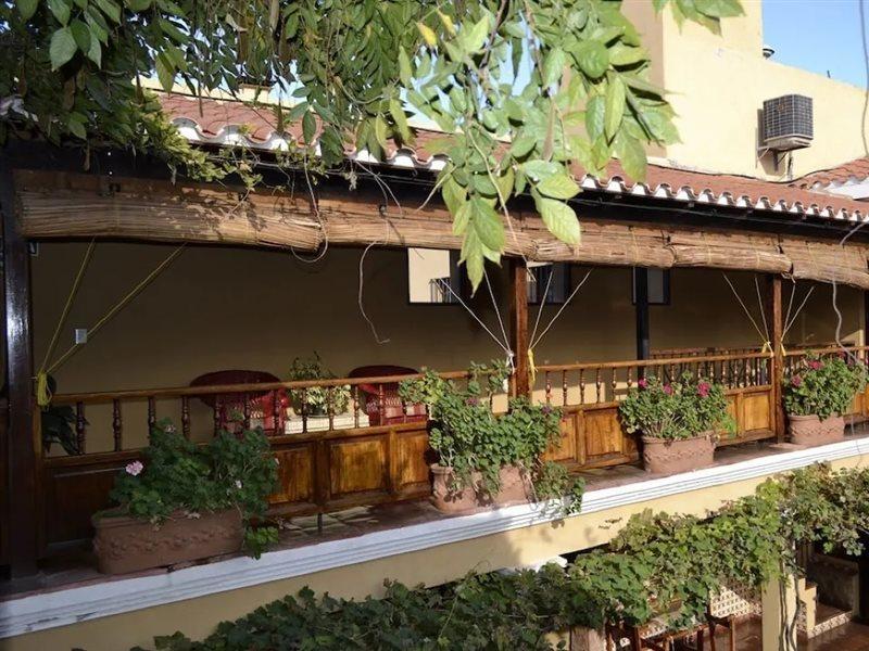 Villa Vicuna Cafayate Boutique Hotel Luaran gambar