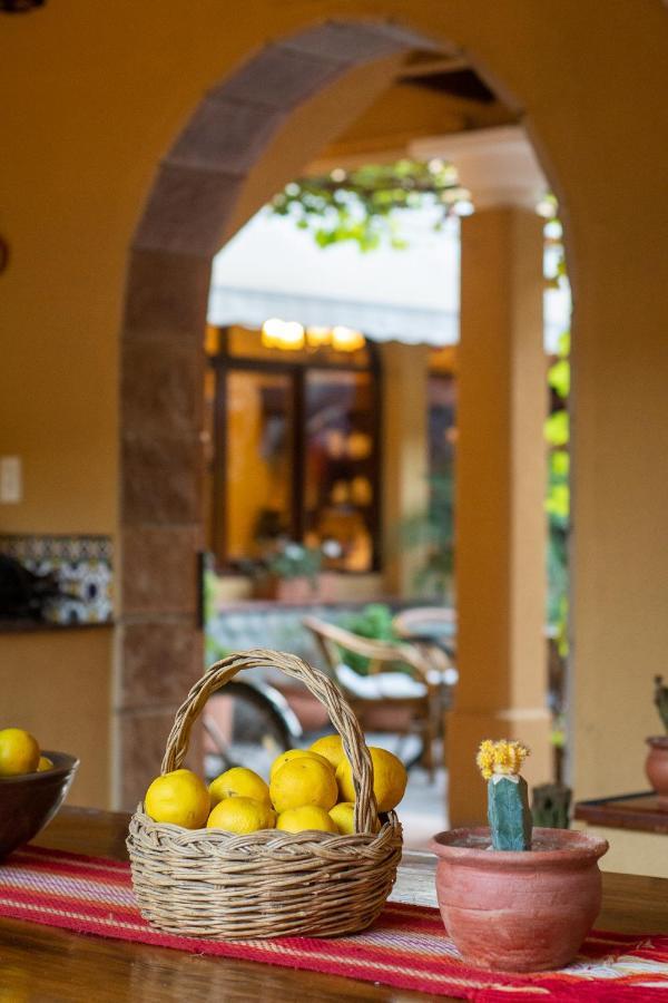 Villa Vicuna Cafayate Boutique Hotel Luaran gambar