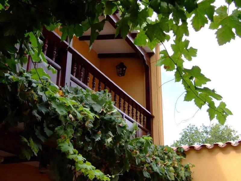 Villa Vicuna Cafayate Boutique Hotel Luaran gambar